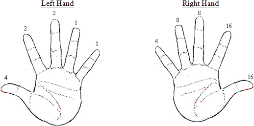 2455_Left and right hand.png